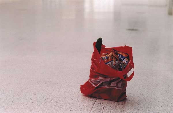 I am sick of it all, 2003, acoustic and kinetic object, 45 x 30 x 30 cm