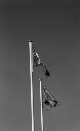 Flags and Mother, 2001, Fotografie, gerahmt, 260 x 196 cm, Courtesy of the artists